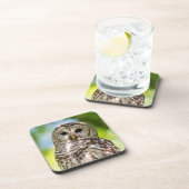 Dessous-de-verre Chouette barrée (Côté Droit)