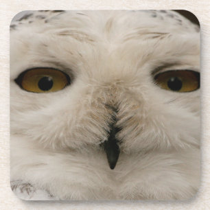 Dessous-de-verre Chouette des neiges