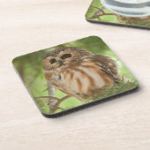 Dessous-de-verre Chouette du Nord (Côté gauche)