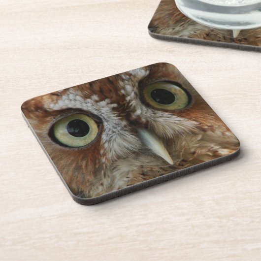 Dessous-de-verre Chouette extrême (Côté gauche)