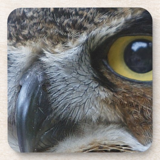 Dessous-de-verre Chouette intense (Devant)