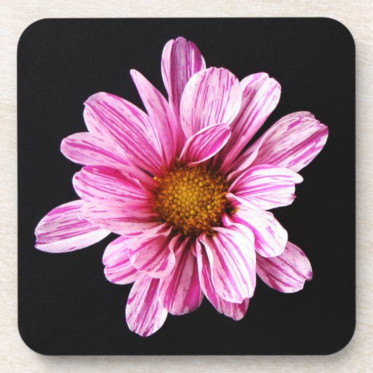 Dessous-de-verre Chrysanthemum Fleur de la côte (Devant)