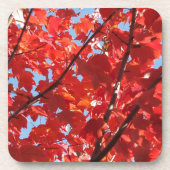 Dessous-de-verre Chute rouge (Devant)