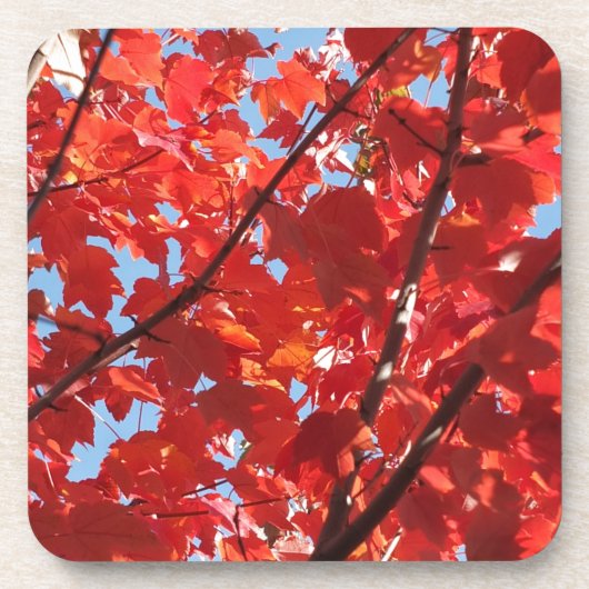 Dessous-de-verre Chute rouge (Devant)