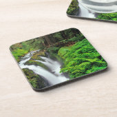 Dessous-de-verre Chutes Sol Duc dans le parc national olympique à (Côté gauche)