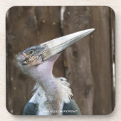 Dessous-de-verre Cigogne marabou (Devant)