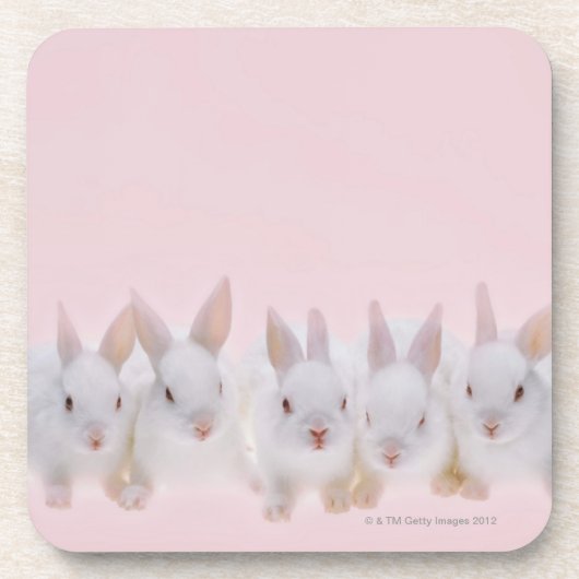 Dessous-de-verre Cinq lapins 2 (Devant)