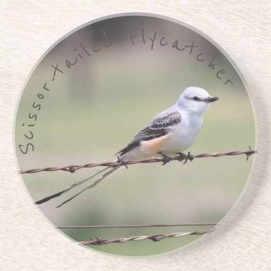 dessous de verre Ciseaux-coupés la queue de (Devant)