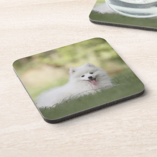 Dessous-de-verre Clé blanche souple Chiot (Côté gauche)