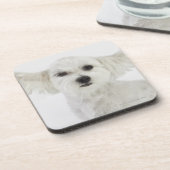 Dessous-de-verre Cligner de l'oeil de chien (Côté gauche)