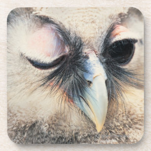 Dessous-de-verre Cligner de l'oeil le hibou