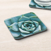 Dessous-de-verre Closeup Succulent (Côté gauche)