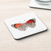 Dessous-de-verre Clymena de Diaethria (Côté gauche)