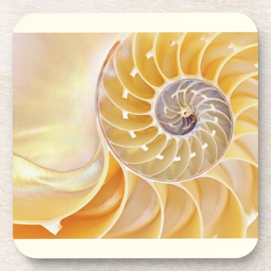 Dessous-de-verre Coaster de boisson Nautilus Seashell (Devant)