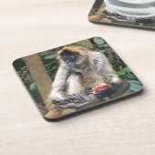 Dessous-de-verre Coaster de Spider (Côté gauche)