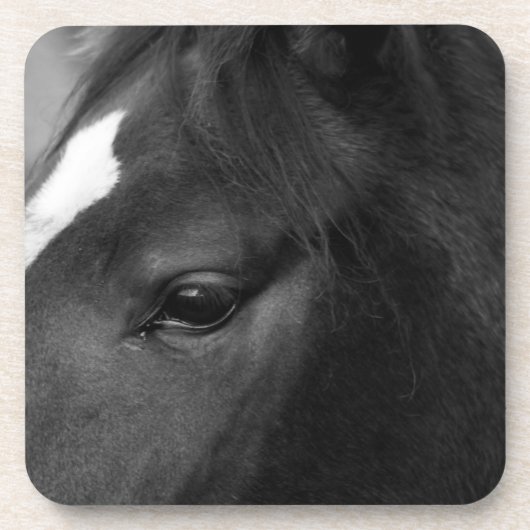 Dessous-de-verre Coastère du cheval (Devant)