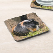 Dessous-de-verre Cochon de Guinée (Côté gauche)