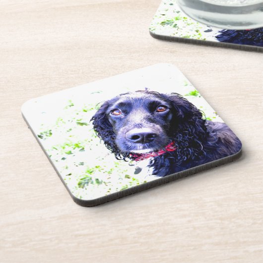 Dessous-de-verre Cocker Spaniel (Côté gauche)