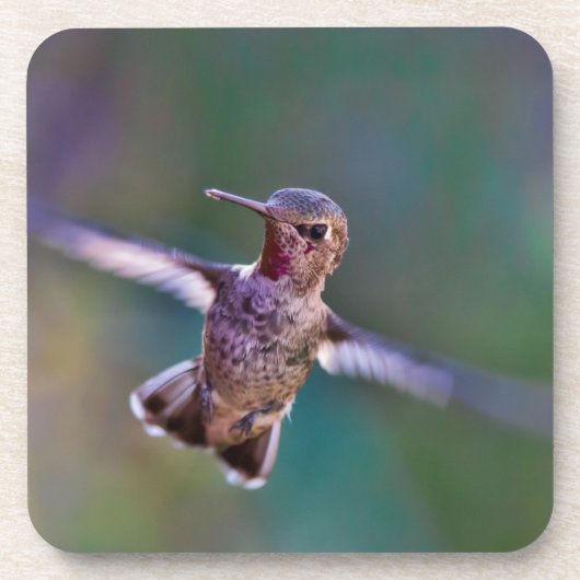 Dessous-de-verre Colibri (Devant)