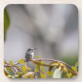 Dessous-de-verre Colibri 3346 (Devant)