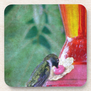 Dessous-de-verre Colibri à la source