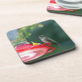 Dessous-de-verre Colibri perché (Côté gauche)
