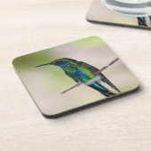 Dessous-de-verre Colibri vert de Violet-oreille (Côté gauche)