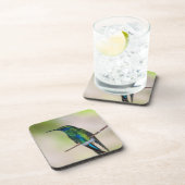 Dessous-de-verre Colibri vert de Violet-oreille (Côté Droit)