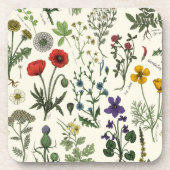 Dessous-de-verre Collage de fleurs sauvages (Devant)