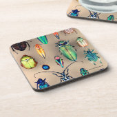 Dessous-de-verre Collection de scarabée (Côté gauche)