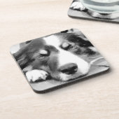 DESSOUS-DE-VERRE COLLIE FRONTALIÈRE (Côté gauche)