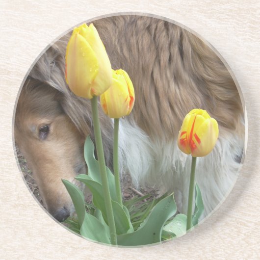 Dessous de verre Collie n Tulips (Devant)