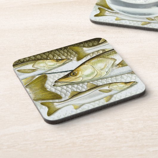 Dessous de verre communs de Snook (Côté gauche)