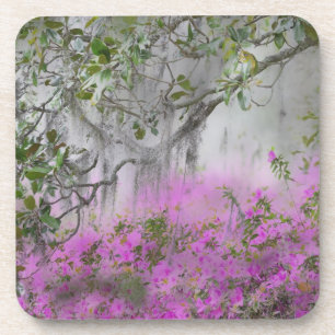 Dessous-de-verre Composite numérique d'azalées et d'arbre magnolia