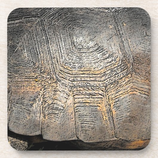 Dessous-de-verre Conception de la coque de tortue Gopher (Devant)