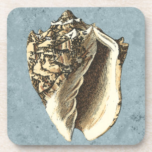 Dessous-de-verre Conque délavée Shell