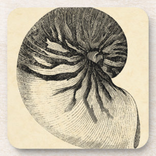 Dessous-de-verre Conque noire et blanche vintage Shell