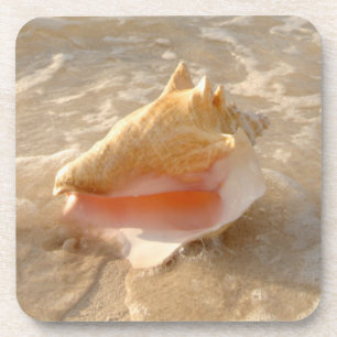 Dessous-de-verre Conque Shell en sable sur la plage tropicale