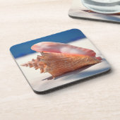 Dessous-de-verre Conque Shell sur la plage 2 (Côté gauche)