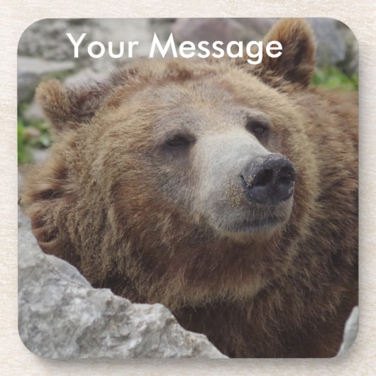 Dessous-de-verre Cook bear (Devant)