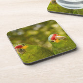 Dessous-de-verre Copan, Honduras (Côté gauche)