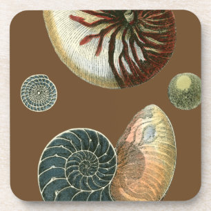 Dessous-de-verre Coque de cacao