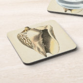 Dessous-de-verre Coque vintage Sepia Conch (Côté gauche)