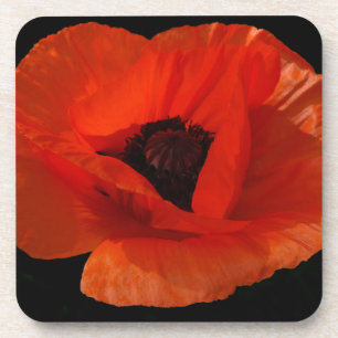 Dessous-de-verre Coquelicot Macro