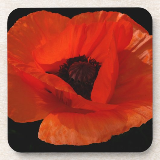 Dessous-de-verre Coquelicot Macro (Devant)