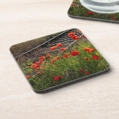 Dessous-de-verre Coquelicot sauvage (Côté gauche)