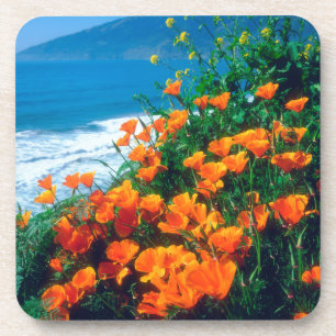 Dessous-de-verre Coquelicots le long de la côte Pacifique près de B