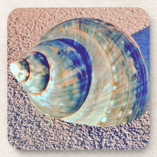 Dessous-de-verre Coquillage de Welk de mer