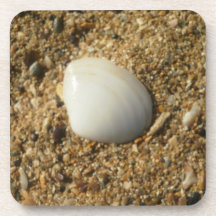 Coquillage sur la plage