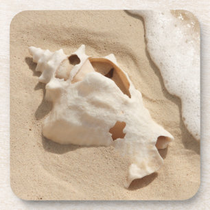 Dessous-de-verre Coquillage sur l'île des Caraïbes de Turc grand de